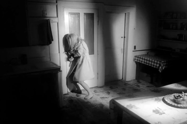 Chase (2011) — video, 5′10″ by Siniša Radulović