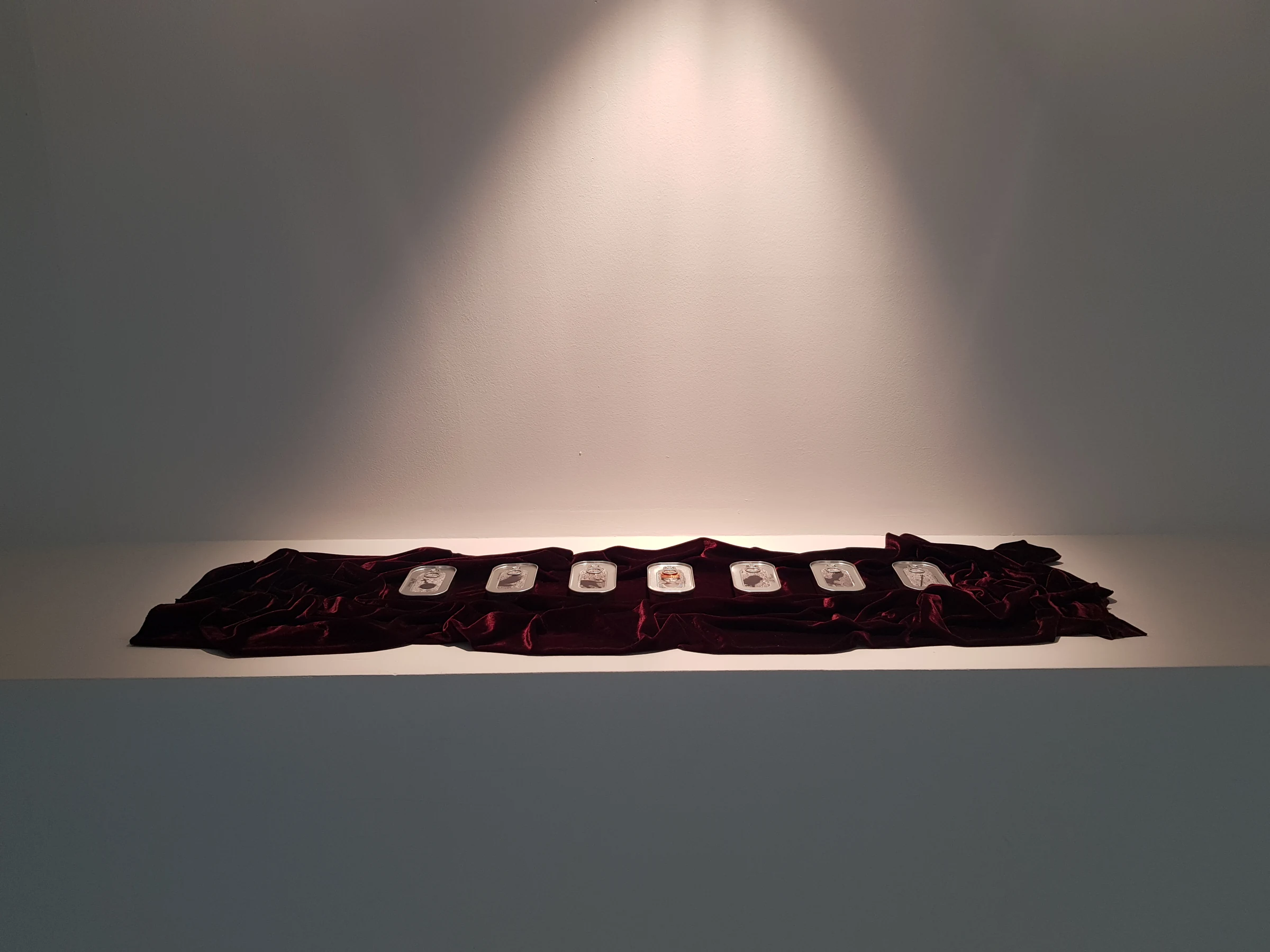 Archipelago (2018) — digital print, canned fish by Siniša Radulović