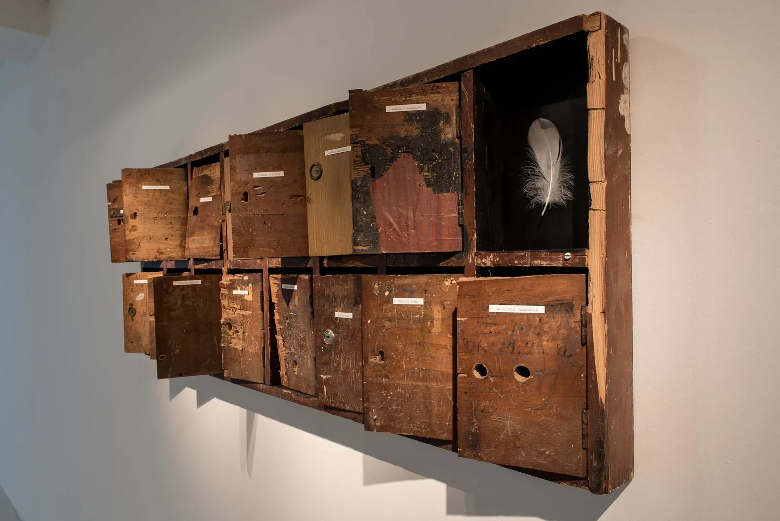 Fly Me to the Moon (2018) — wooden mailboxes, feathers by Siniša Radulović