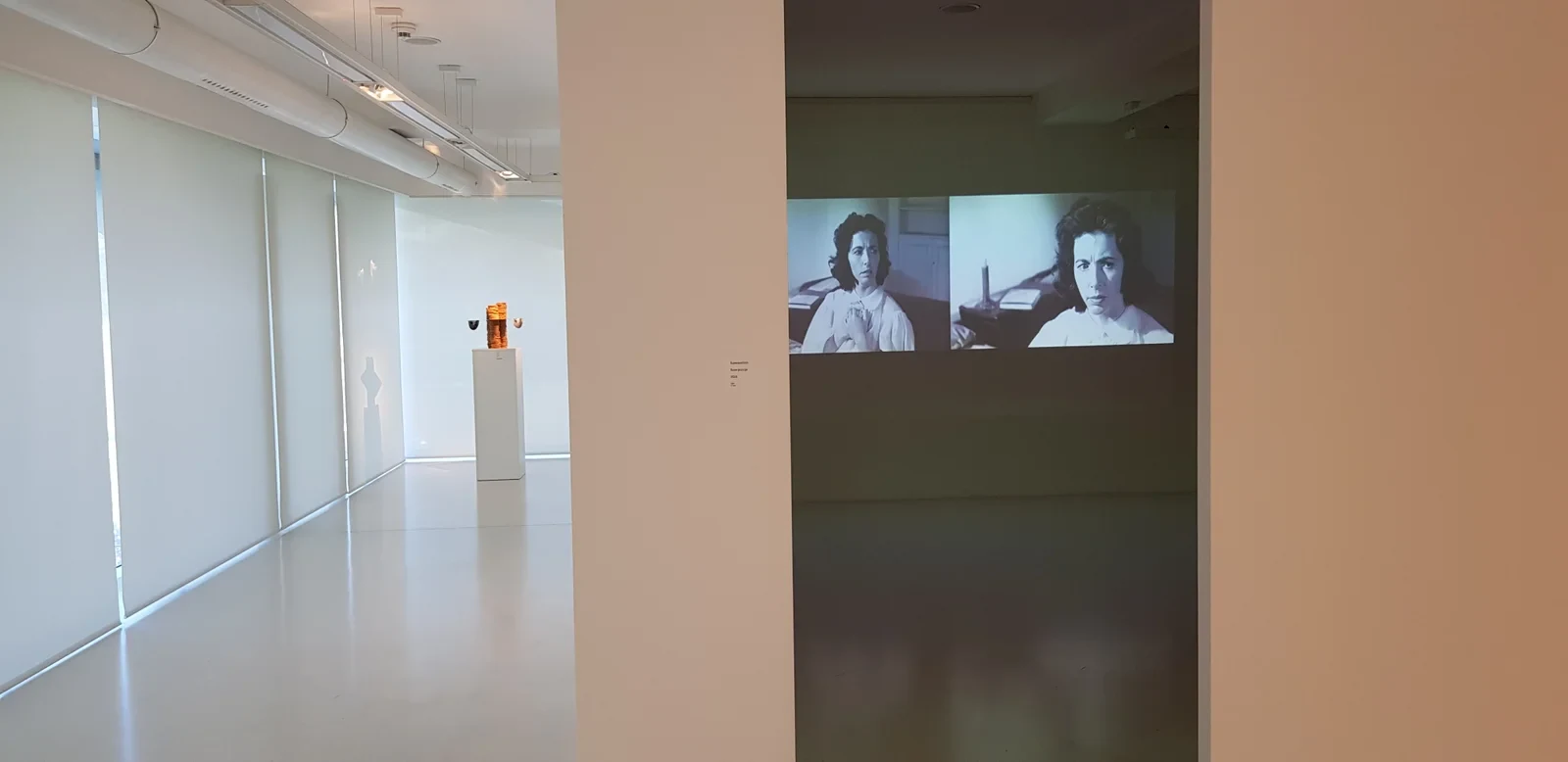 Superposition (2018) — two-channel video installation, 2-minute loop by Siniša Radulović