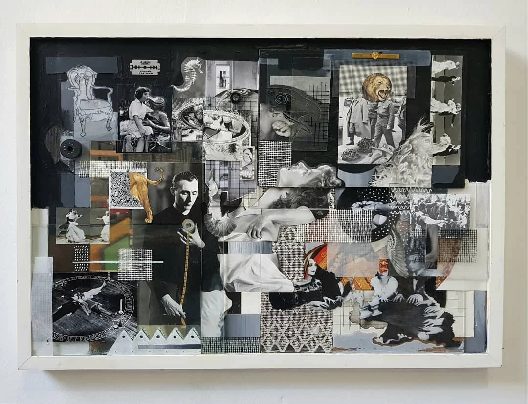 Focus (2019) by Siniša Radulović