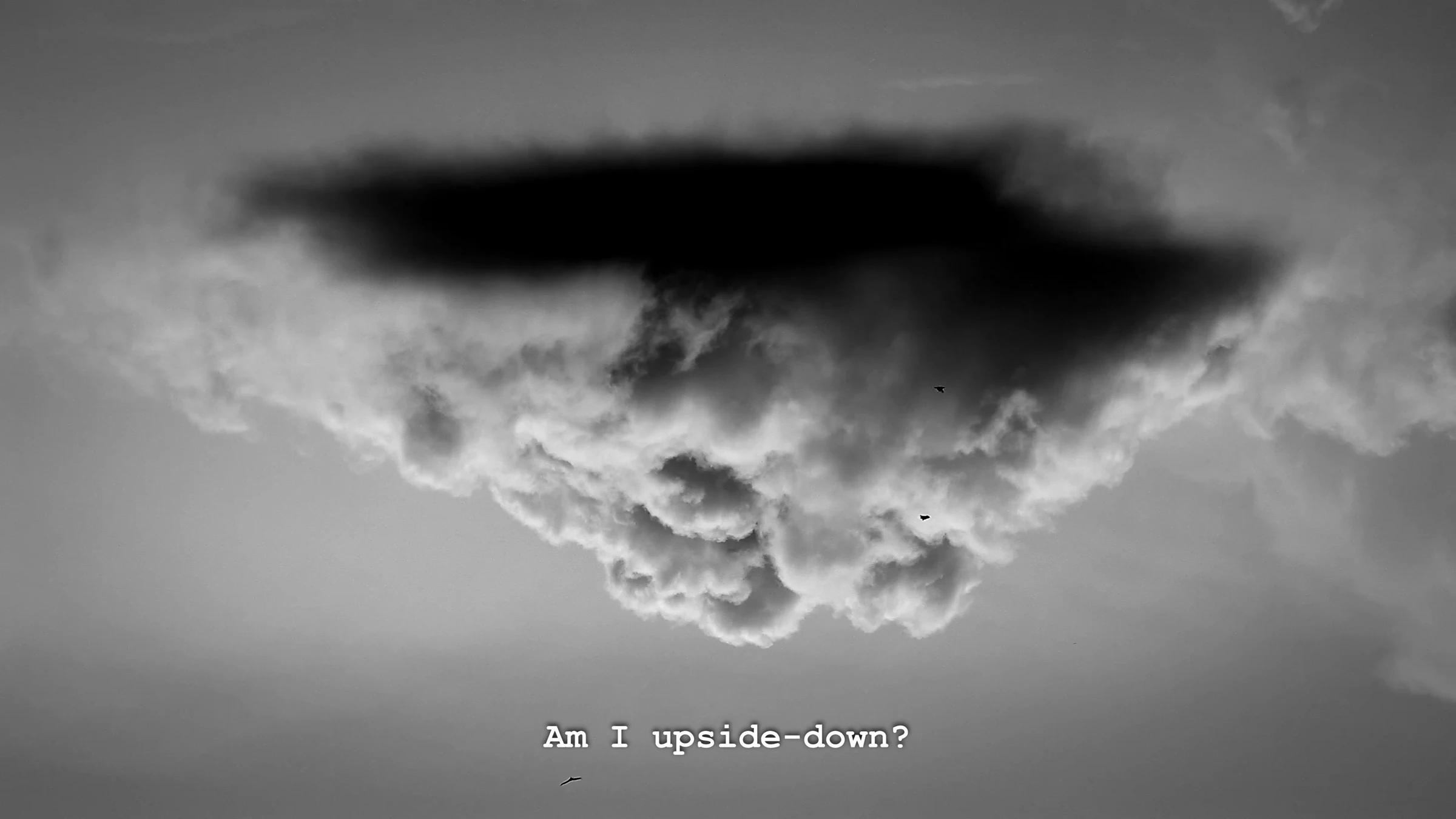 Zenith (2020) — video, 6′03″ by Siniša Radulović